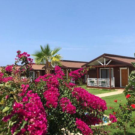 Sedir Park - Beach Bungalow Kargicak  Bagian luar foto