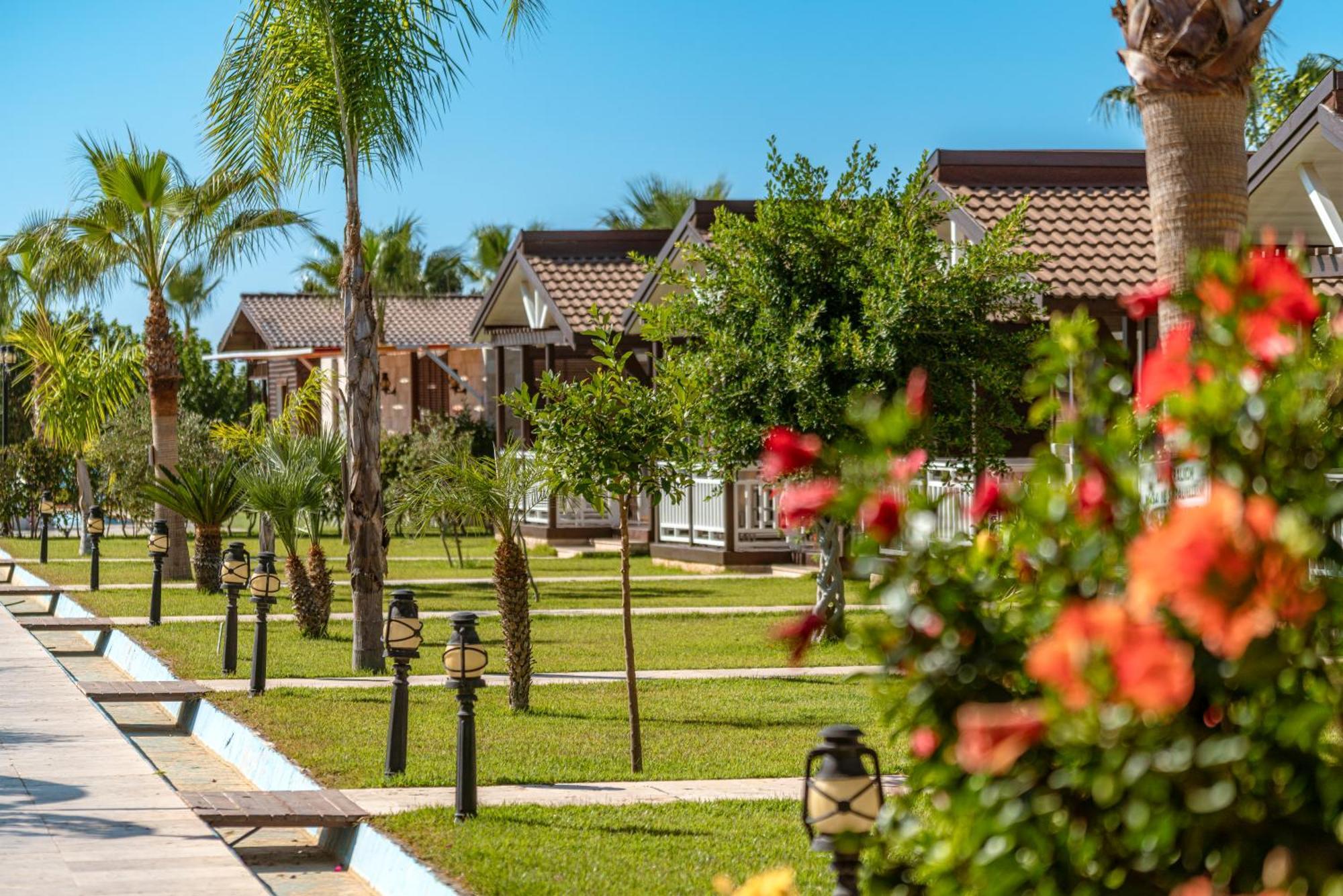 Sedir Park - Beach Bungalow Kargicak  Bagian luar foto