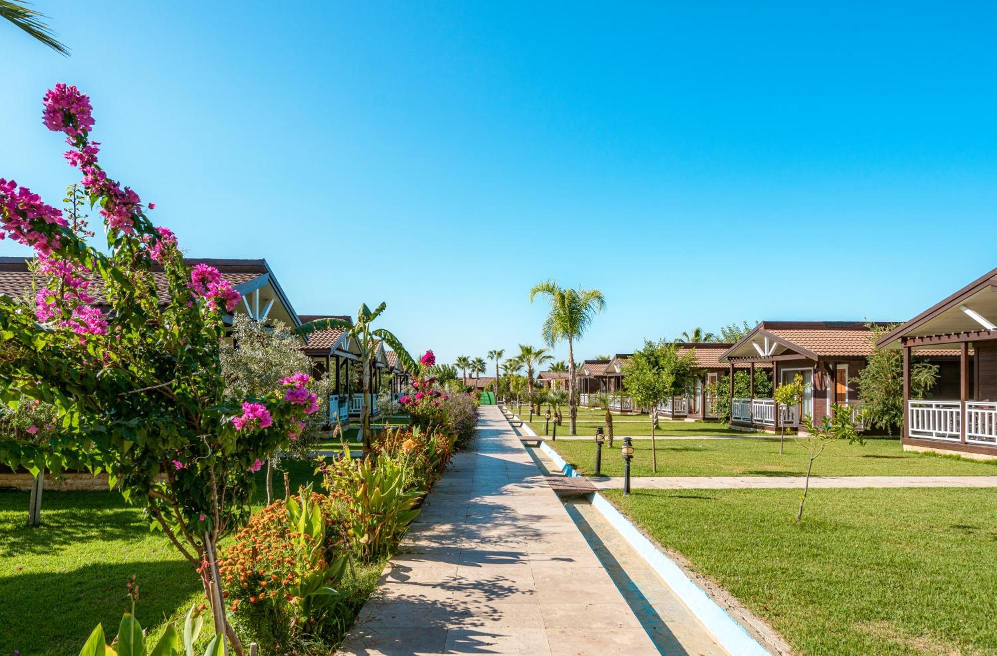 Sedir Park - Beach Bungalow Kargicak  Bagian luar foto
